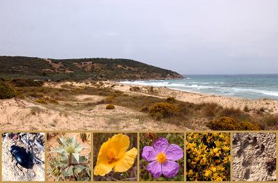 μεγέθυνση